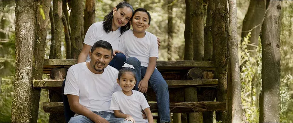 Family Visa-image